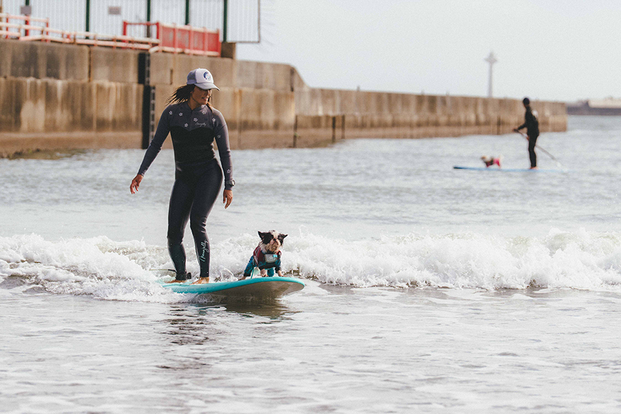 大洗サンビーチ_ペット_3