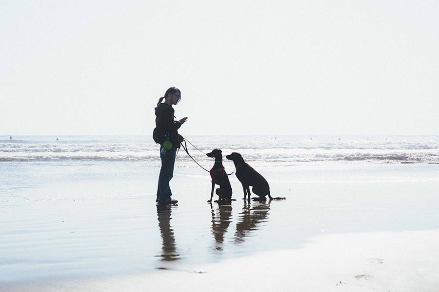 大洗サンビーチ_ペット_1