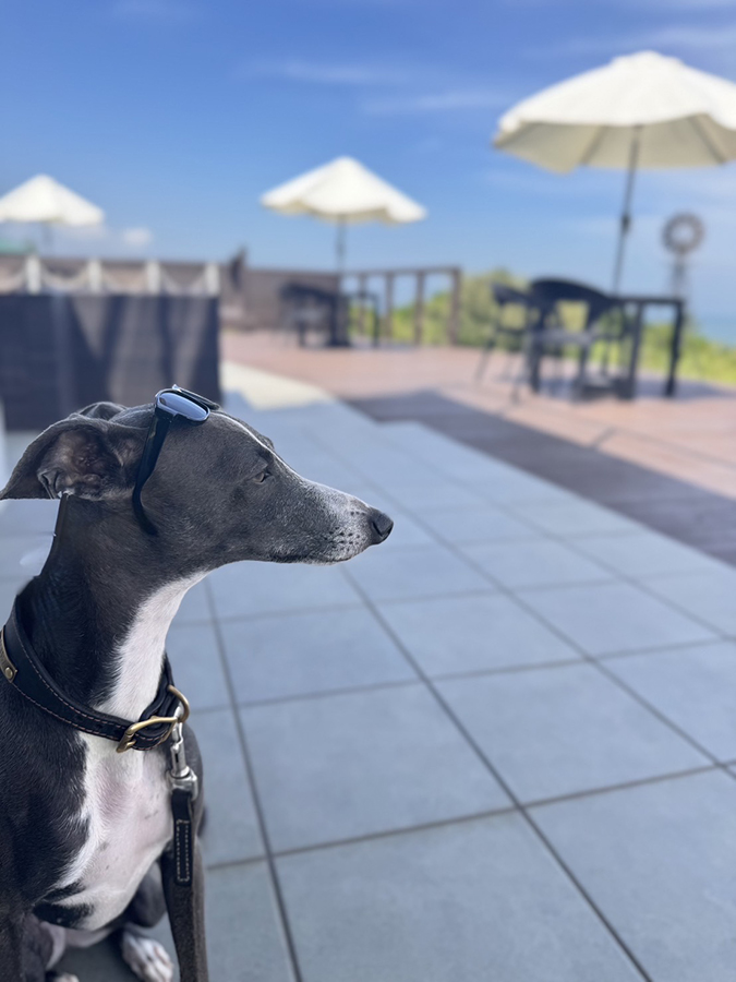 tama海terrasse_ペット_2