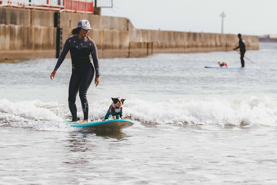 海沿い地域を巡る～1泊2日のいばらき犬旅行～