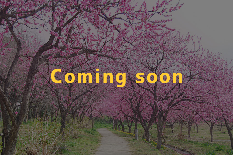 古河桃まつり coming soon