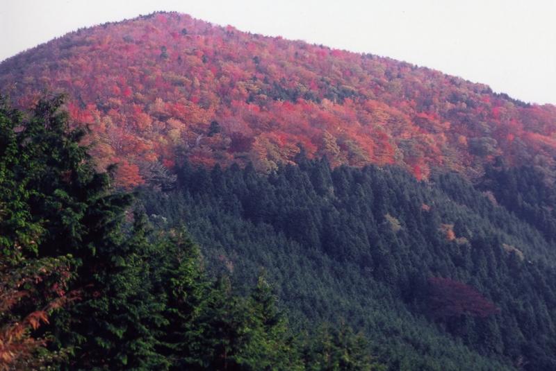 八溝山_写真