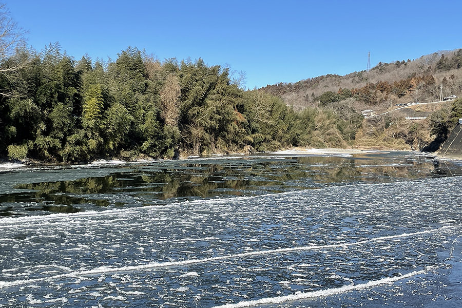 久慈川のシガ（氷花）