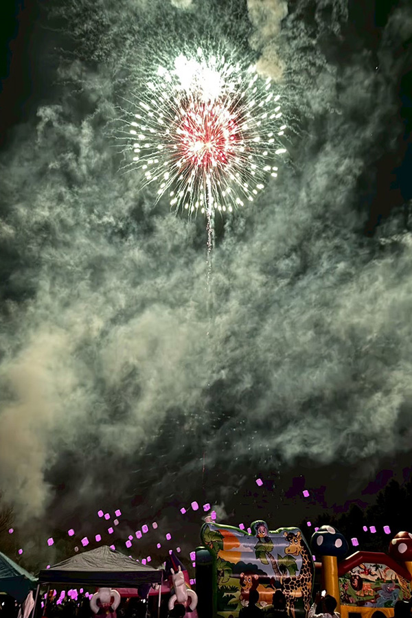 古河桃まつり_花桃灯夜宴_打ち上げ花火_600&times;900