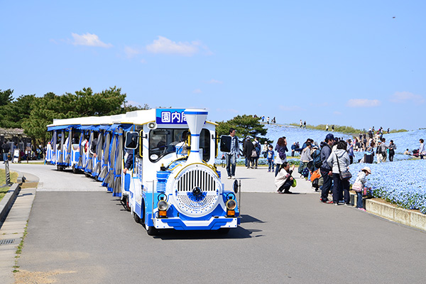 シーサイドトレイン_1