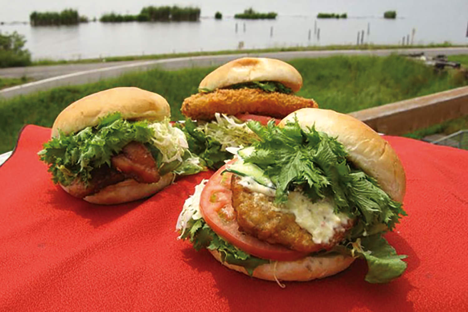 ご当地グルメ_5