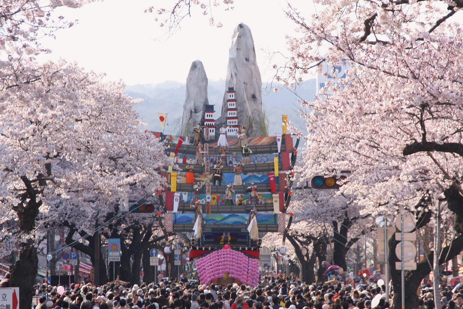 日立さくらまつり_1