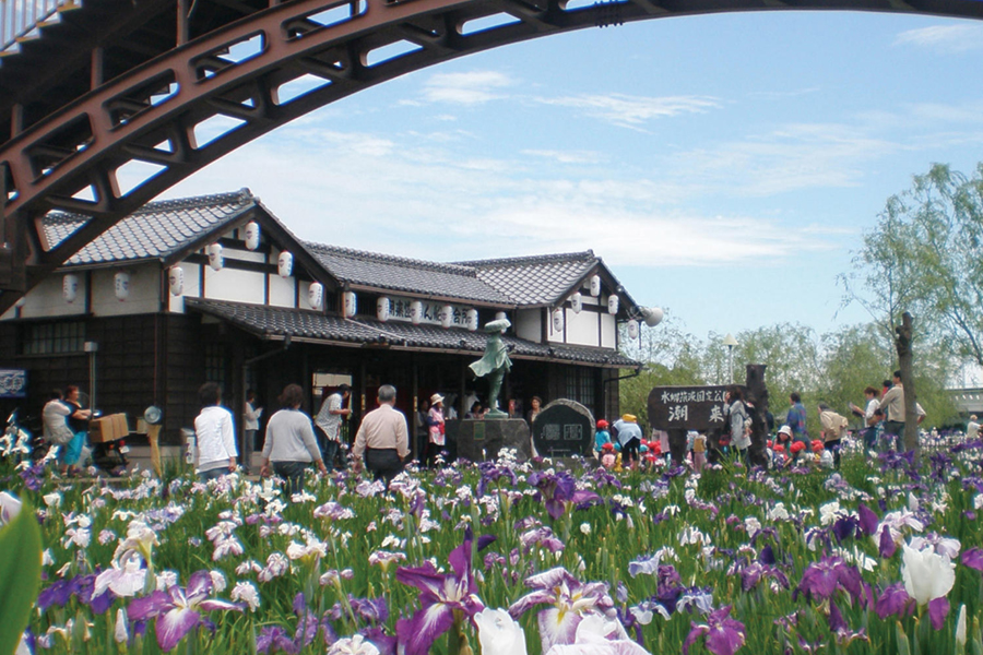 水郷潮来あやめまつり