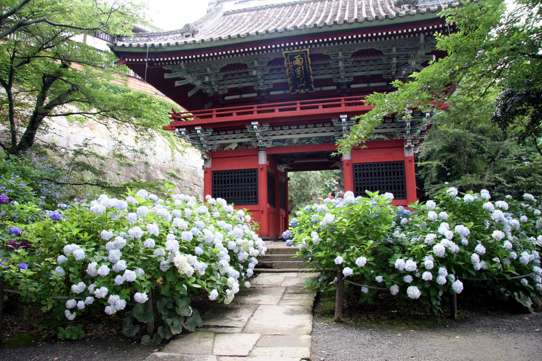 雨引観音のあじさい祭