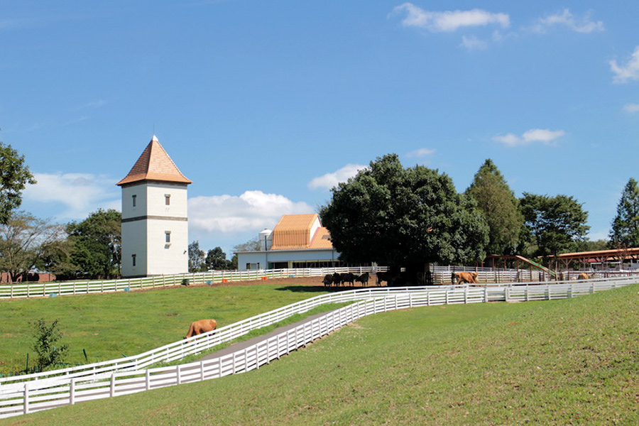 こもれび森のイバライド（稲敷市）