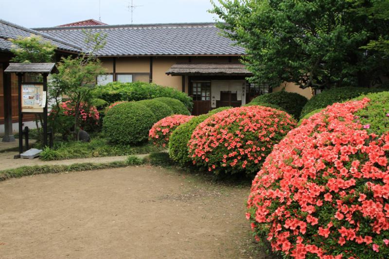 サンプル画像3