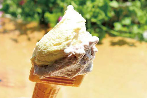 ひたちなか市スイーツ_04