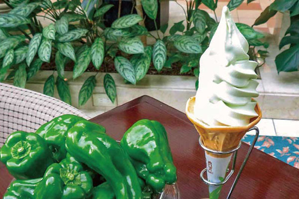 ピーマンソフト（神栖市：鹿島セントラルホテル）