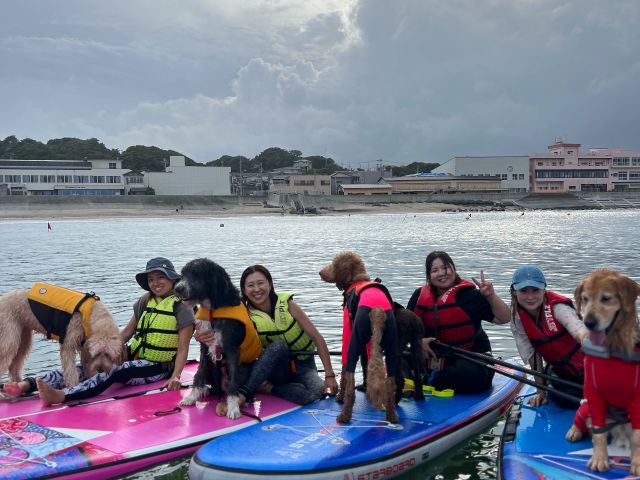 ウォータースポーツ_BEACHLIFE_阿字ヶ浦_DSUP