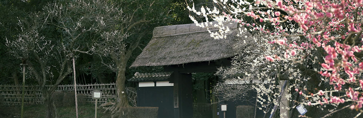 動画で楽しむいばらきの「日本遺産」_1