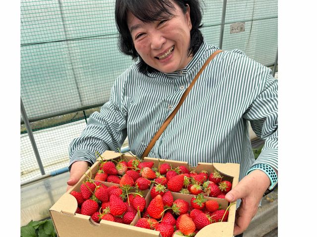 ストロベリーランド筑西_1キログラム