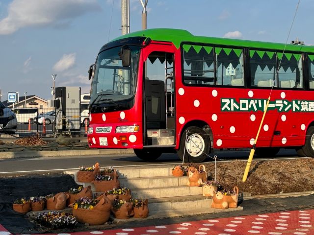 ストロベリーランド筑西_デラックス