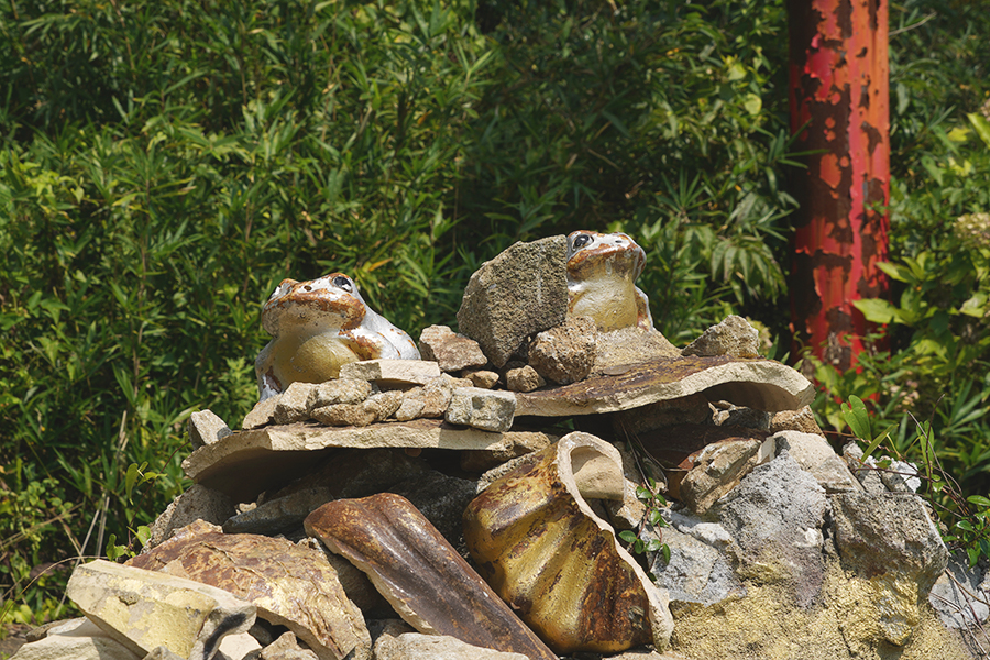 筑波山_がまの像