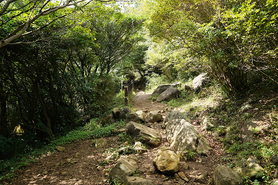 筑波山_弁慶茶屋跡までの道中