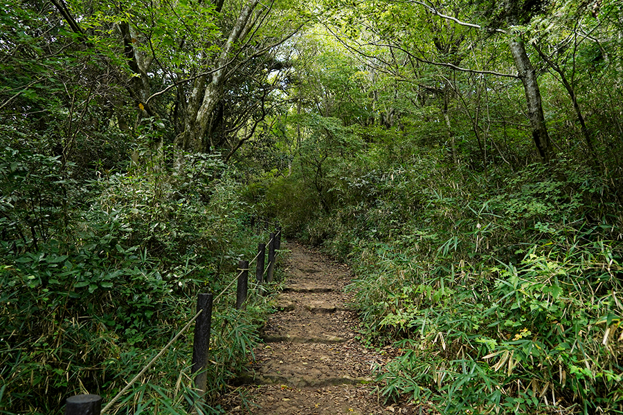 筑波山_弁慶茶屋跡までの木陰道