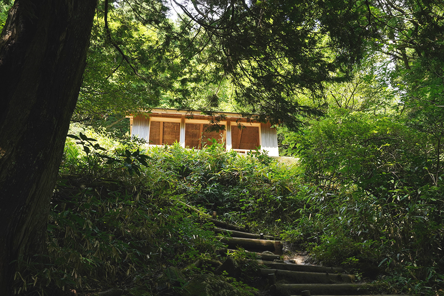 筑波山_弁慶茶屋跡までの段差道