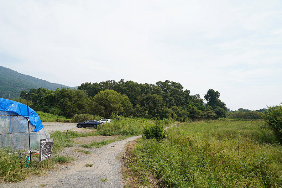宝篋山_スタート地点から進む農道