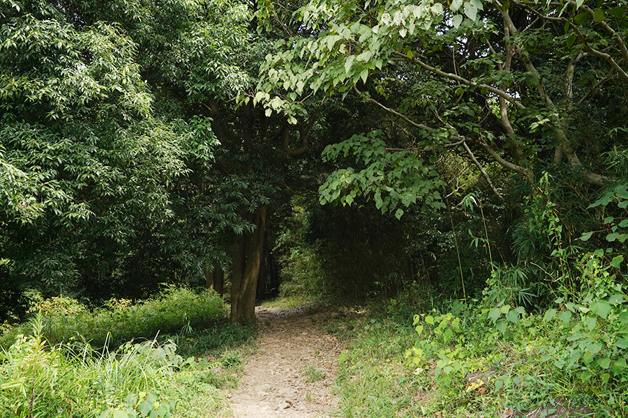 宝篋山_登山道 入口