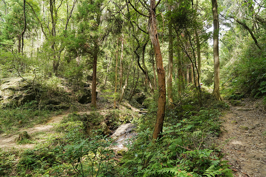 宝篋山_せせらぎが聞こえる登山道