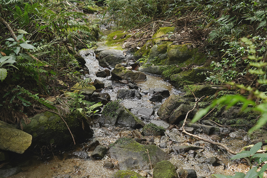 宝篋山_登山道に沿って流れる小川