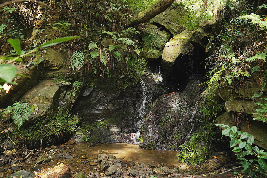 宝篋山_慈悲の滝