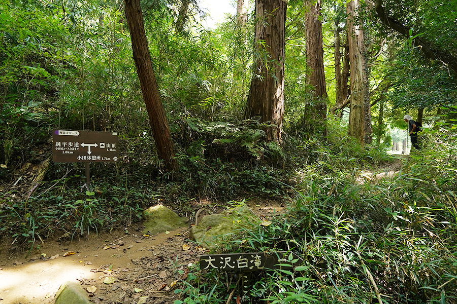 宝篋山_純平歩道との合流地点