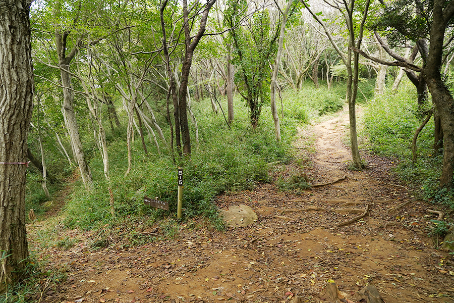 宝篋山_勾配が急になる道中