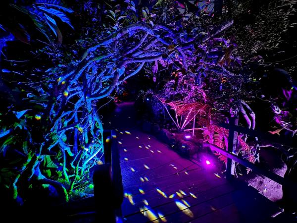 林音_熱帯植物館_1