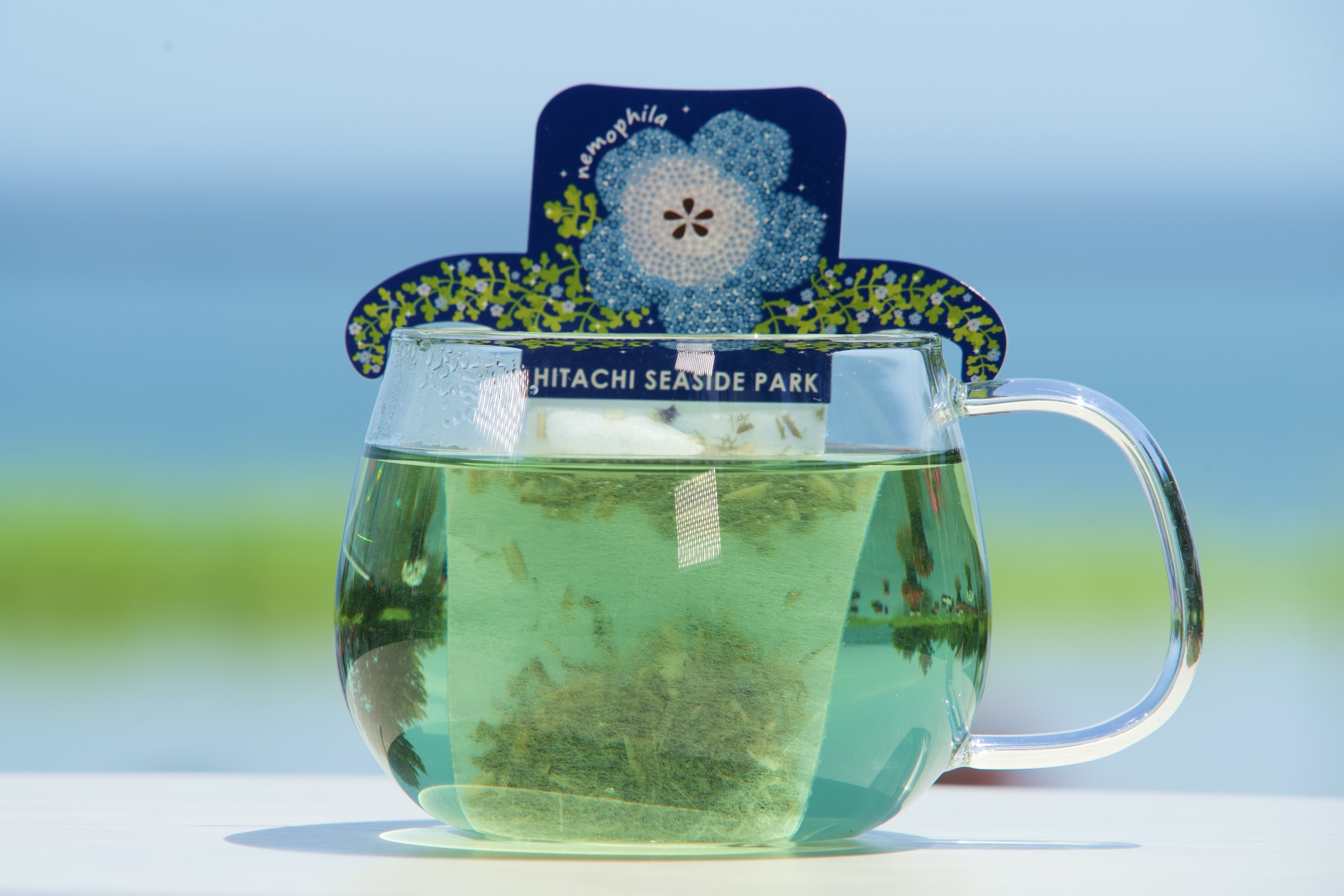 ネモフィラブルーティー