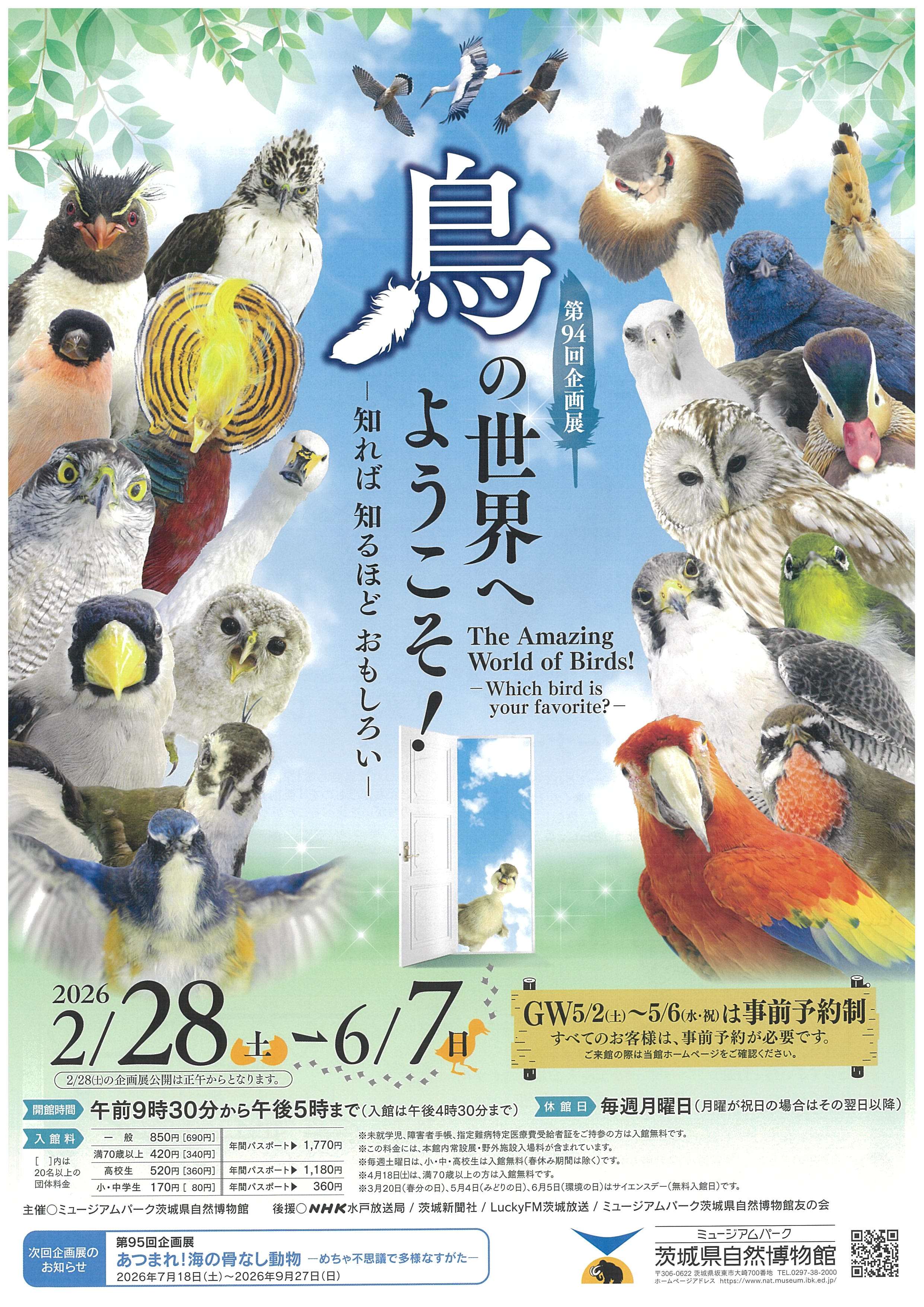 鳥の世界へようこそ！－知れば 知るほど おもしろい－（ミュージアムパーク茨城県自然博物館）