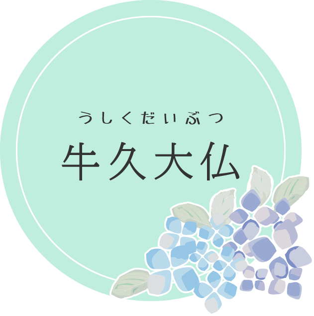 あじさい_牛久大仏(牛久市)