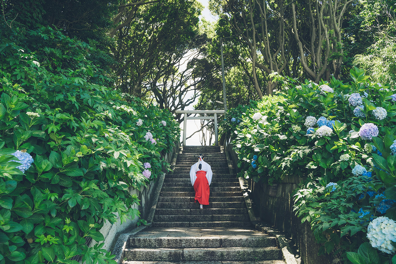 あじさい詣_酒列磯前神社_樹叢_2