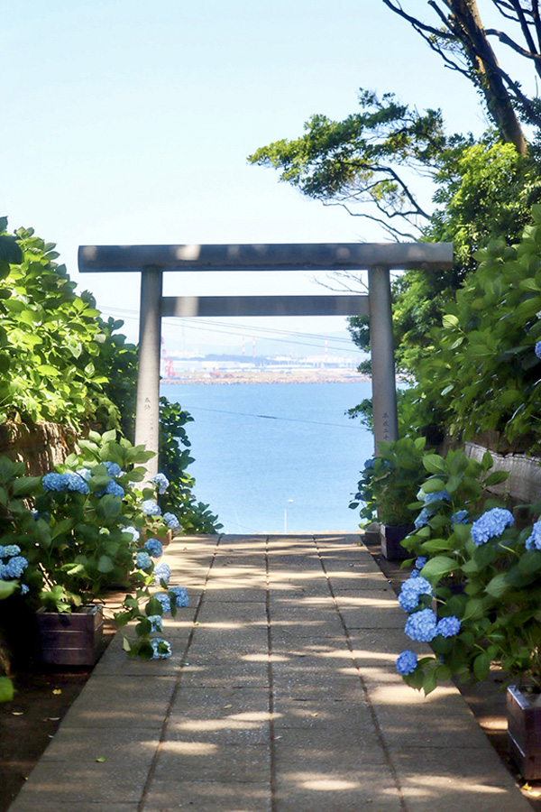 あじさい詣_酒列磯前神社_鳥居と海_2