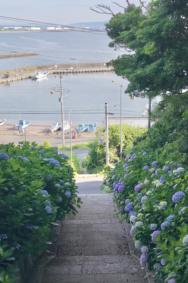 あじさい詣_酒列磯前神社_海