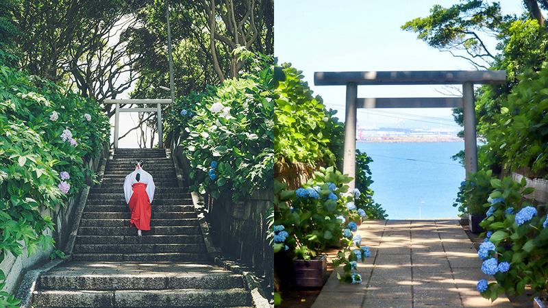 13_酒列磯前神社