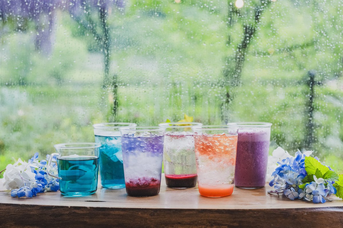 フラワーパーク_コラボ_紫陽花ドリンク