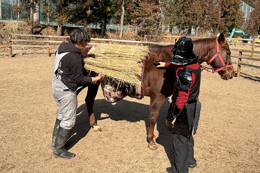 納豆特集_馬の体温で発酵!納豆の伝承を再現_1