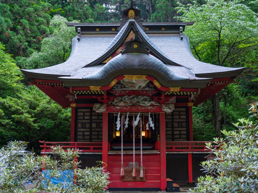 花園神社_社殿