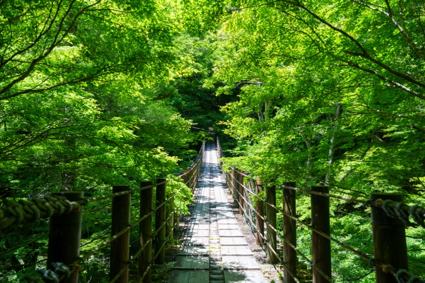 花貫渓谷_1
