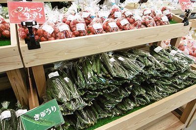 新鮮な農産物_道の駅 いたこ