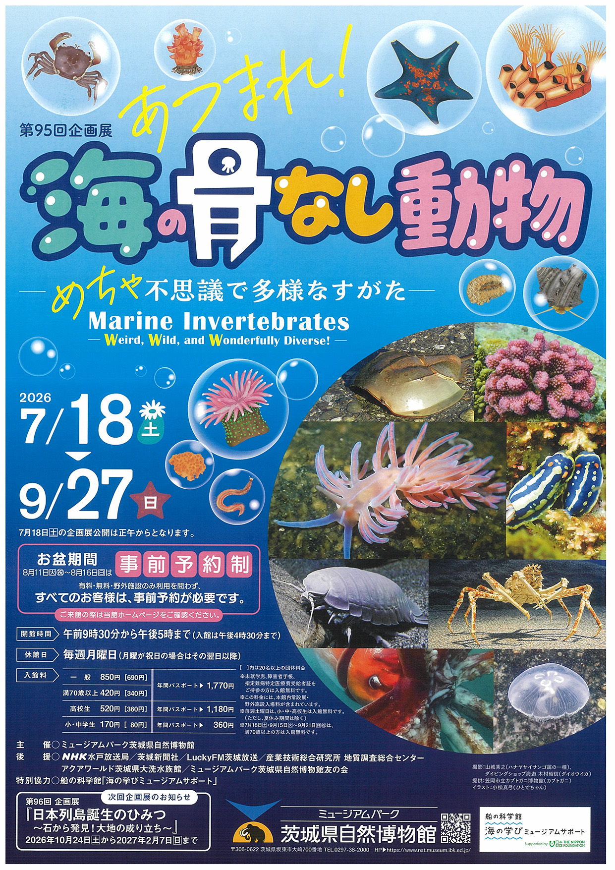 【ミュージアムパーク 茨城県自然博物館】あつまれ！海の骨なし動物－めちゃ不思議で多様なすがた－