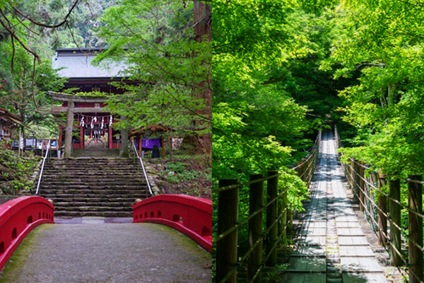 避暑地(北茨城・高萩)_2026年_トップフォト(600&times;400)_文字なし