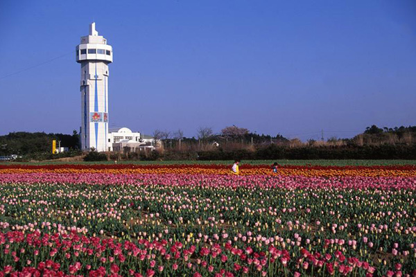 潮騒はまなす公園