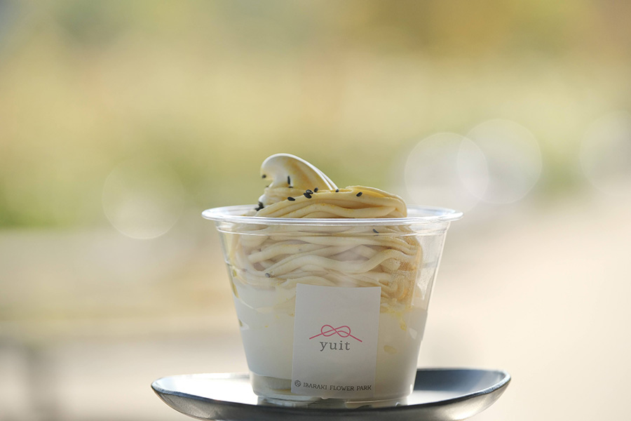 フラワーパーク_芋ソフトクリーム