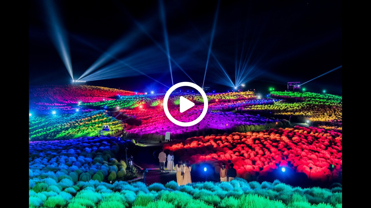 コキアライトアップ2025動画
